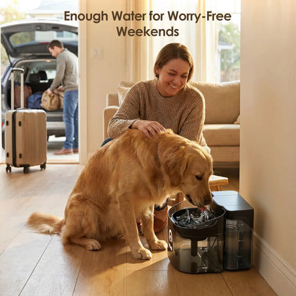 VEWO 11L Dog Water Fountain for Large Dogs